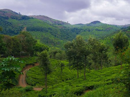 Nilgiris Biosphere Reserve