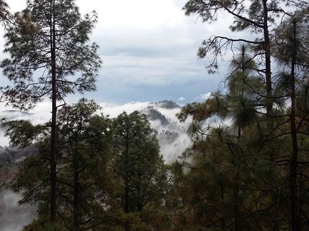 30. Chail 30. Chail