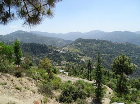 37. Naldehra 37. Naldehra