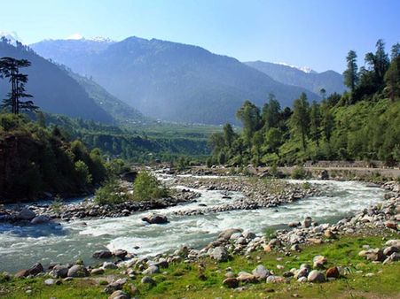 43. Mandi 43. Mandi