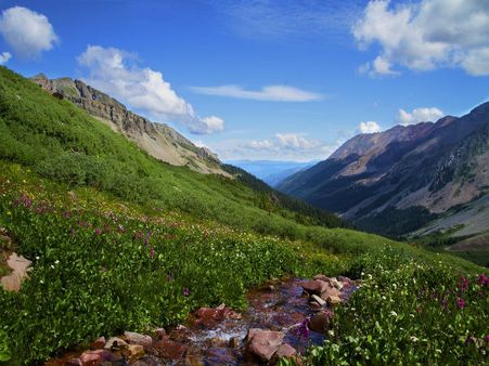 Valley Of Flowers