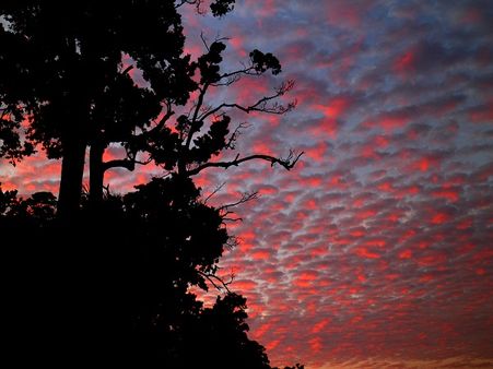 1) Andaman And Nicobar Islands