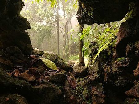 13) Meghalaya 13) Meghalaya