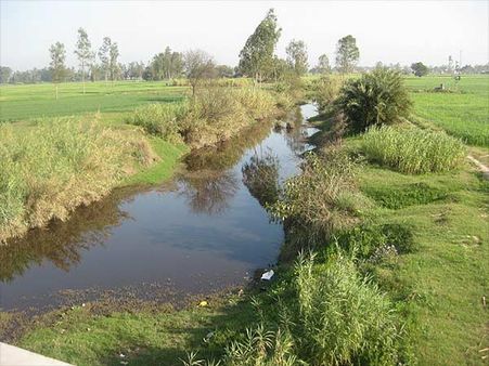 21) Punjab 21) Punjab