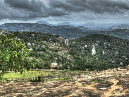 How To Reach Horsley Hills