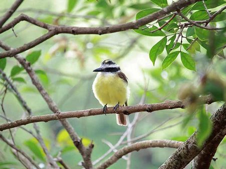 1) Narcondam Island Wildlife Sanctuary