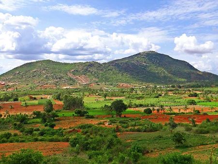 10. Nellore 10. Nellore