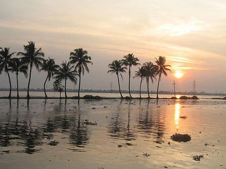 Things To Do In Ashtamudi Lake Things To Do In Ashtamudi Lake