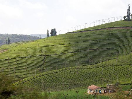 26. Coonoor 26. Coonoor