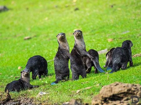 29. Nagarhole National Park 29. Nagarhole National Park