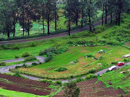 30. Ooty 30. Ooty