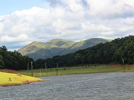 32. Thekkady 32. Thekkady