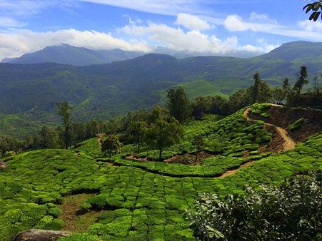 35. Munnar 35. Munnar