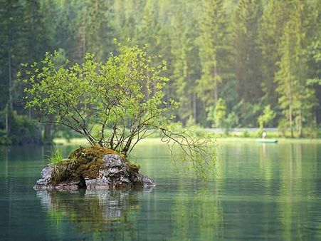 4) Explore The Beauty Of Forests