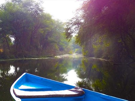 Best Time To Visit Bharatpur