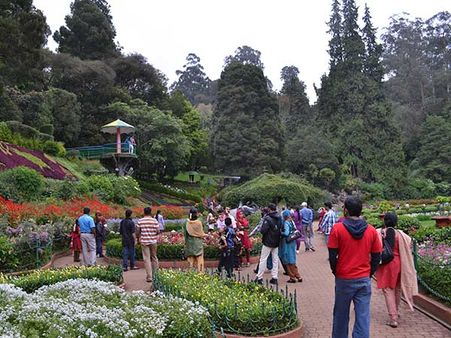 2) Botanical Garden
