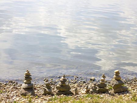 Best Time To Visit Shamirpet Lake