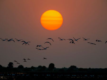 Best Time To Visit Kutch