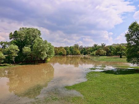 Best Time To Visit Sasan Gir
