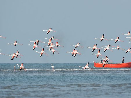 24. Porbandar 24. Porbandar
