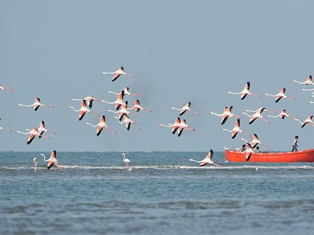 24. Porbandar