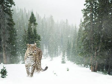 The Perennial Beauty Of This Wonderful Park