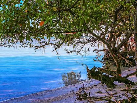 Henry's Island Beach Henry's Island Beach