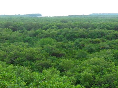 Capture Surreal Beauty From Watchtower Capture Surreal Beauty From Watchtower