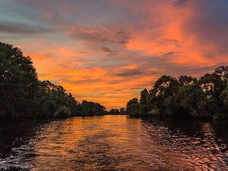 Explore Diverse Wildlife Explore Diverse Wildlife