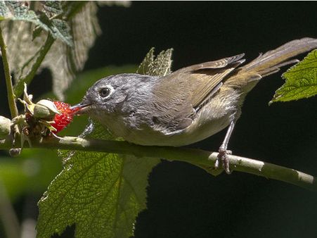 Why This Wonderful Sanctuary Should Be Your Next Destination