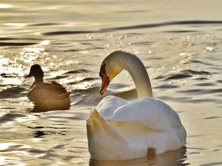 Why You Should Visit Rabindra Sarobar