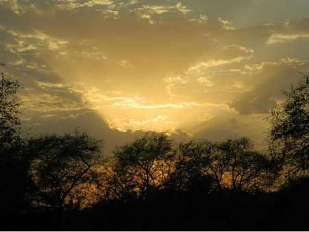 A Little About Van Vihar National Park