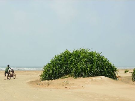 Final Destination – Tajpur