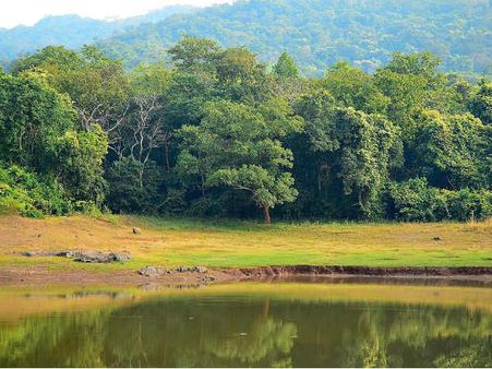 Dalma Wildlife Sanctuary