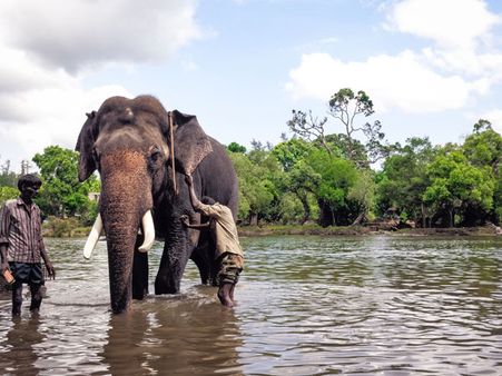 Nisargadhama And Dubare Elephant Camp