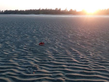 8. Henry's Island 8. Henry's Island