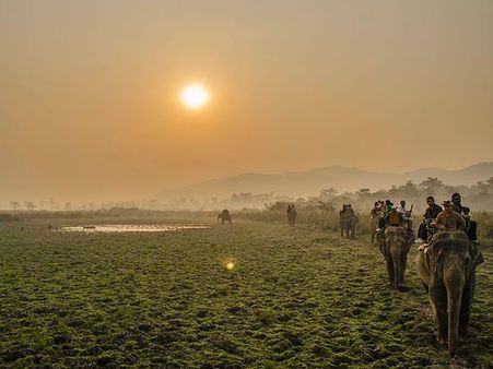 1. Sundarbans 1. Sundarbans