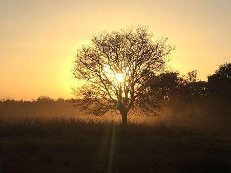 Best Time To Visit Kanha National Park