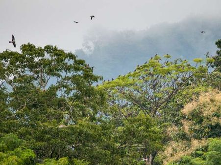 Spend Some Time In The Village Spend Some Time In The Village