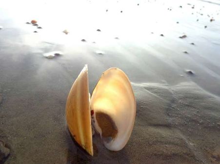 21. Chandipur 21. Chandipur