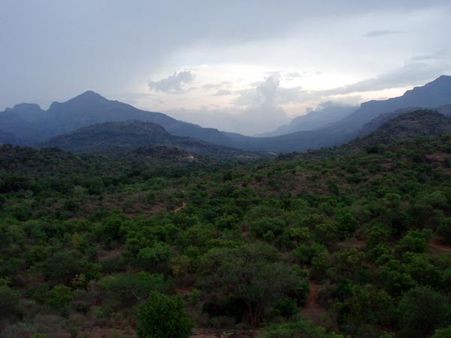 The Nitty Gritty Of How To Reach Marayoor