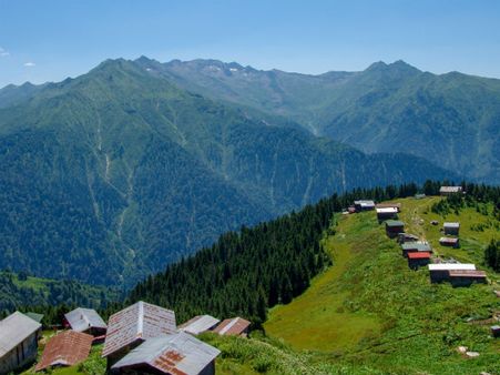 Places To Visit In Barog Places To Visit In Barog