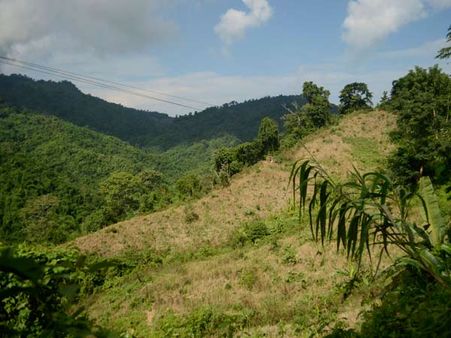 Best Time To Visit Pangti Best Time To Visit Pangti