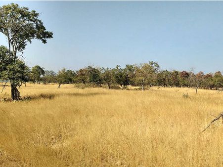 Best Time To Visit Panna