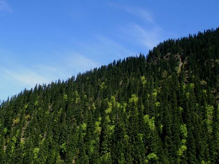 Best Time To Visit Barog Best Time To Visit Barog