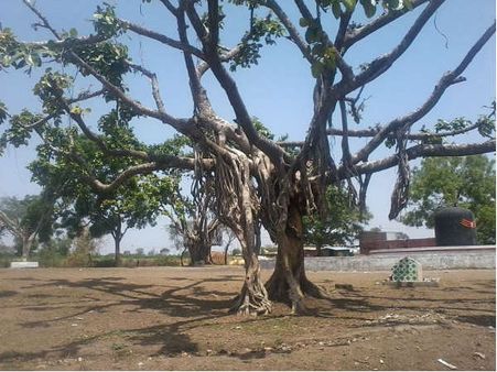 Best Time To Visit Ratlam