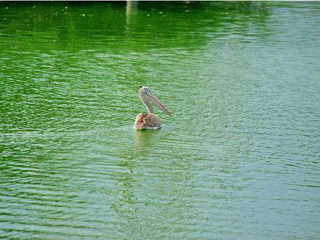 Location And A Little About The Sanctuary