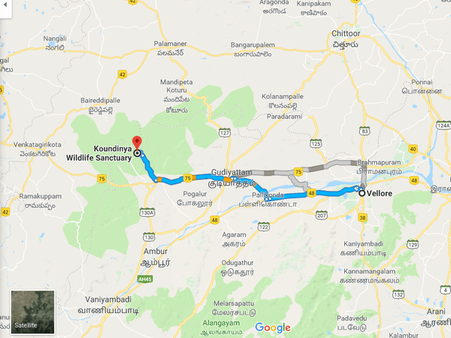 How To Reach Koundinya Wildlife Sanctuary