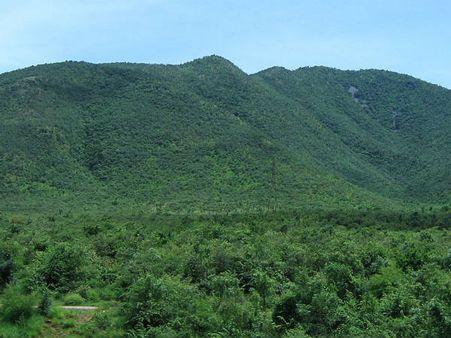 Best Time To Visit Koundinya Wildlife Sanctuary