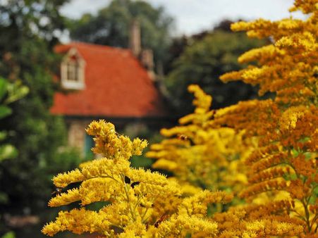 Best Time To Visit Kokernag